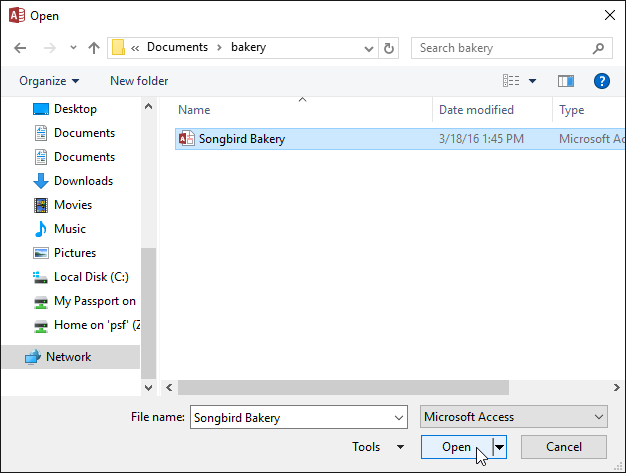 Opening an Access database
