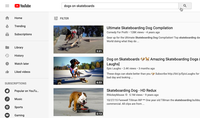 screenshot of YouTube search results for "dogs on skateboards"