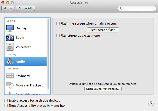 screenshot accessibility menu