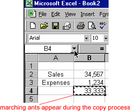 copying and pasting a cell