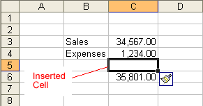 Cell Inserted Into A Spreadsheet