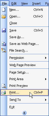 File and Print Menu Selections