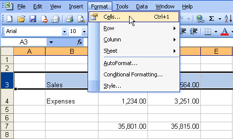 Formal and Cells Menu Selections