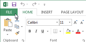 Screenshot of Excel 2013