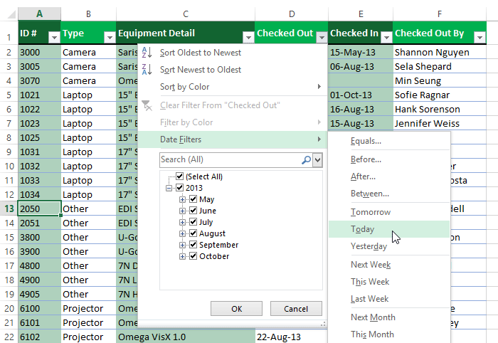 Screenshot of Excel 2013