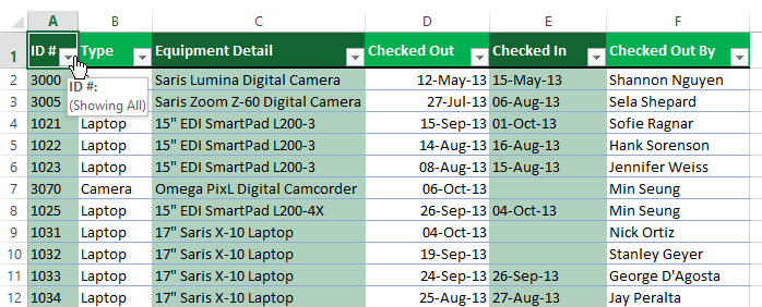 Screenshot of Excel 2013