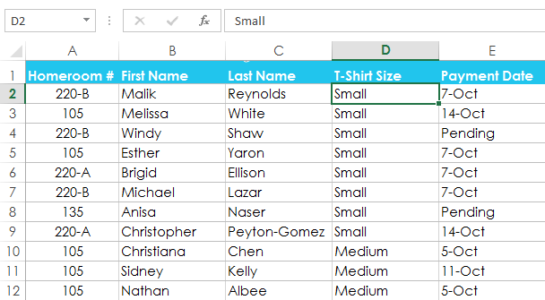 Screenshot of Excel 2013