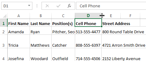 Screenshot of Excel 2013