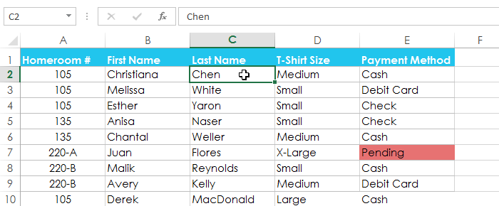 Screenshot of Excel 2013