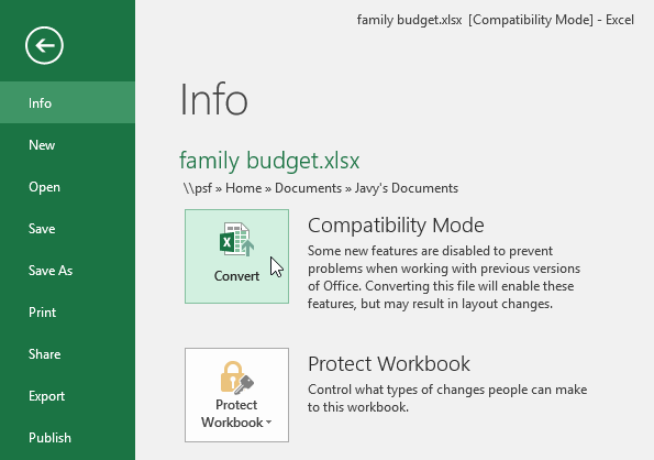 Converting the workbook to the newest file type