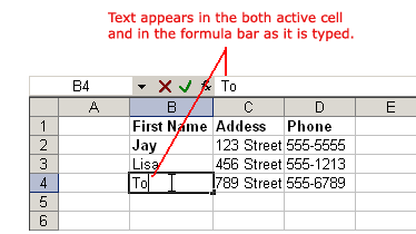 Text Appears in Cell and Formula Bar When Typed