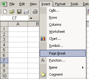 Insert and Page Break Menu Options