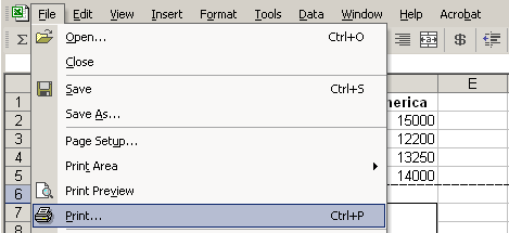 File and Print Menu Selections