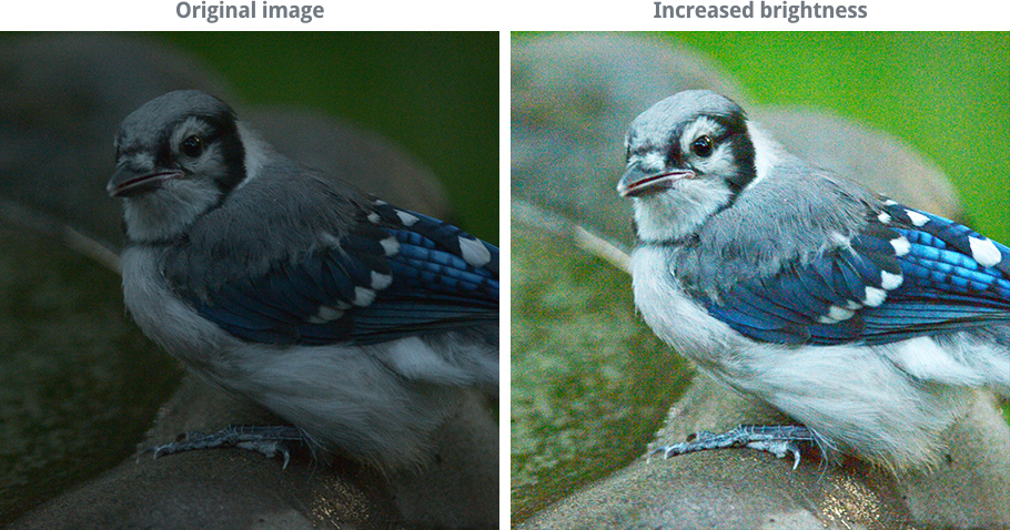 image showing how increasing the image brightness can create image noise