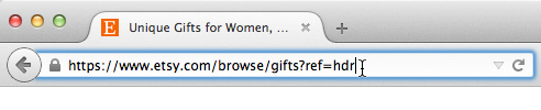 Screenshot of address bar