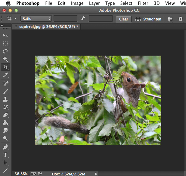 Screenshot of Adobe Photoshop CC