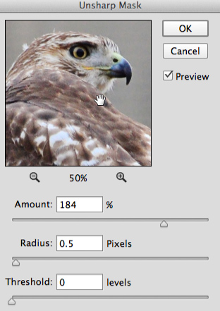 Screenshot of Adobe Photoshop CC