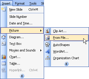 Click Insert, choose From File