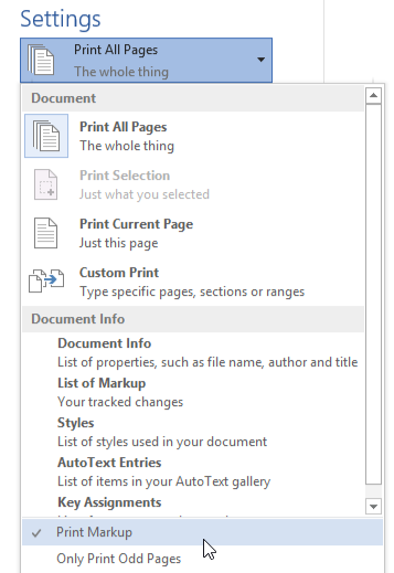 Screenshot of Microsoft Word