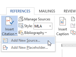 Screenshot of Microsoft Word