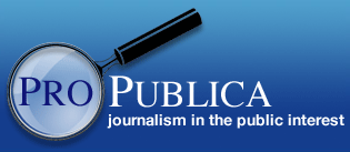 Pro Publica Logo