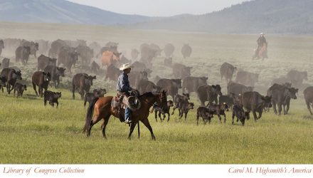 Big Creek Ranch Branding Day