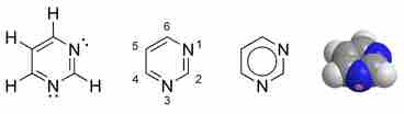 Pyrimidine Structure