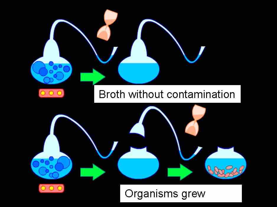 Pasteur's test of spontaneous generation.