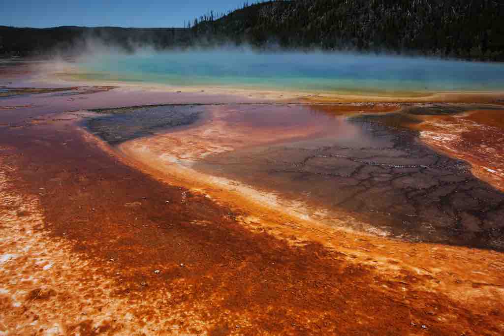 Extremophiles