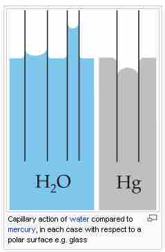 Capillary action in glass tubes