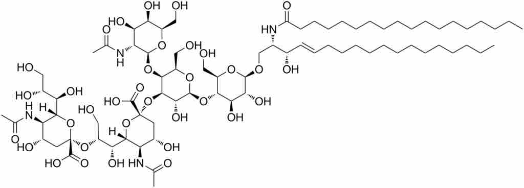 Structure of GD2