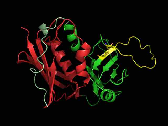 A Superantigen