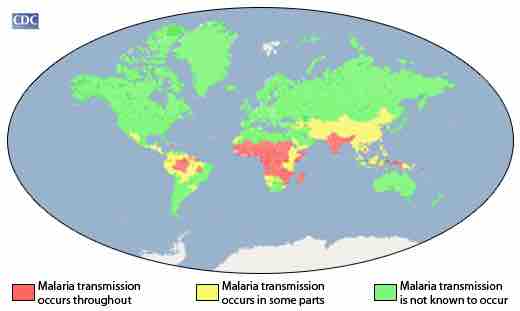 Concentrations of malaria transmission worldwide.