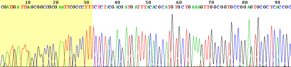 Chromatograph