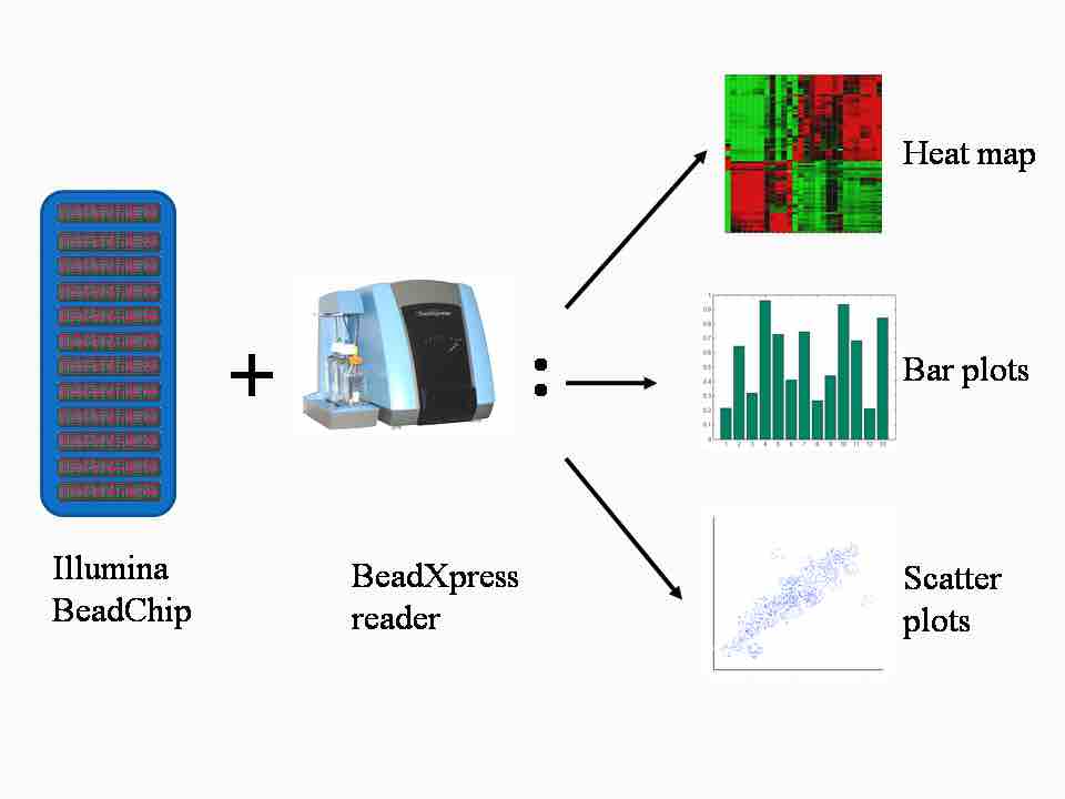 Data Output