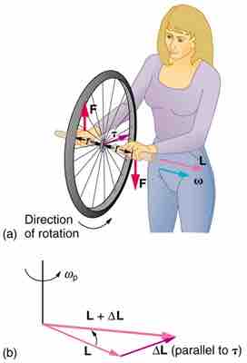 Gyroscopic Effect