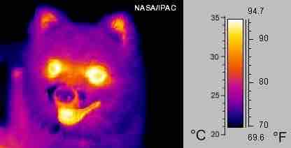 Thermography