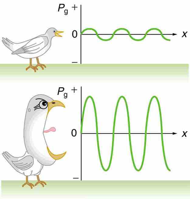 Sound Intensity