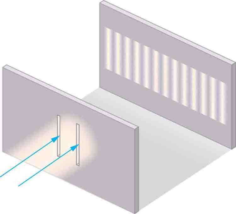 Young's Double Slit Experiment