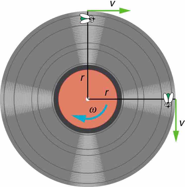 Angular Velocity