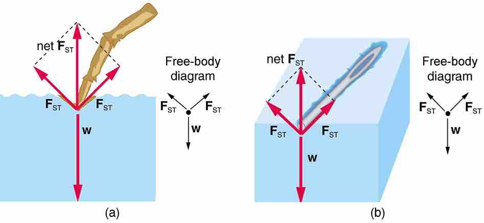 Surface Tension FBD