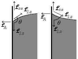 Contact Angle