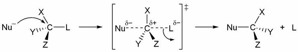 SN2 Mechanism