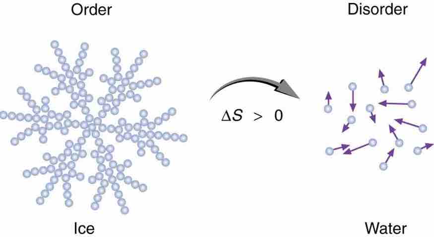 Entropy of Ice