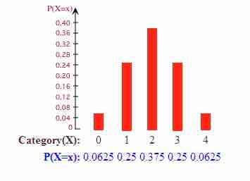 Probability Histogram