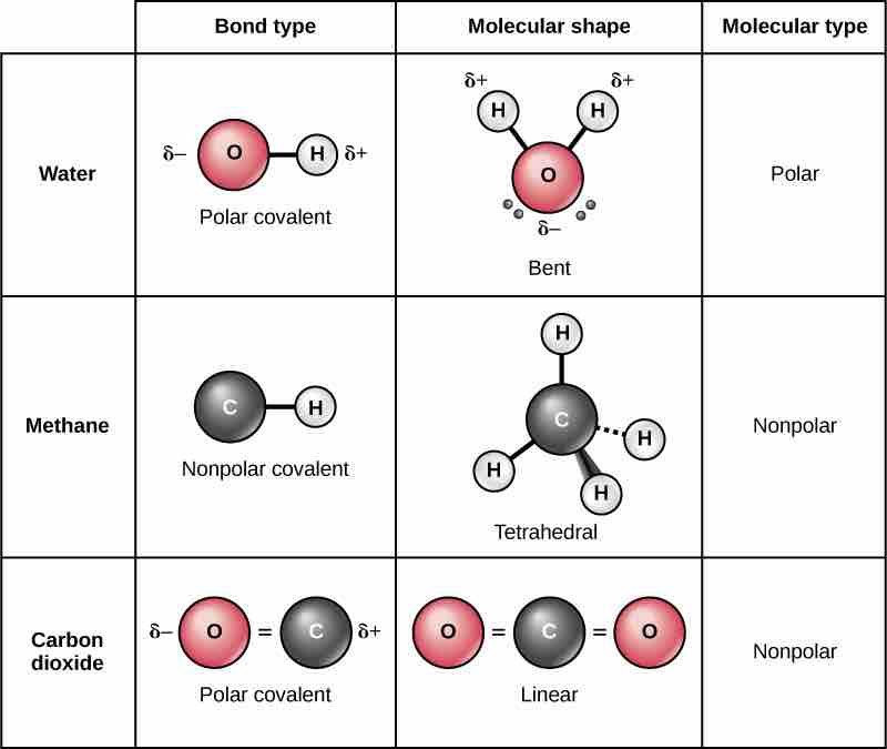 Polar and Nonpolar Covalent Bonds