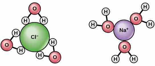 Dissociation of NaCl in water