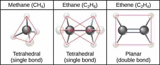 Hydrocarbon Chains