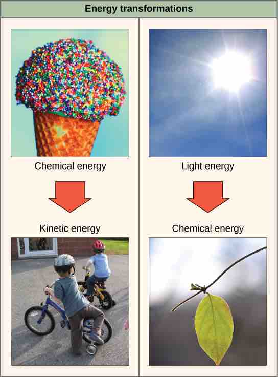 The first law of thermodynamics