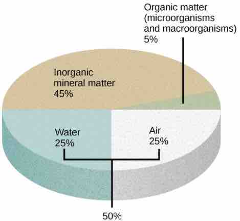 Components of soil